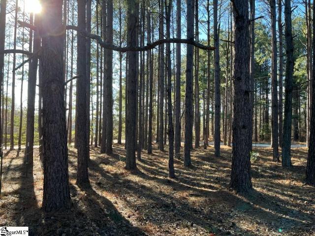 Land for sale in Campobello, South Carolina