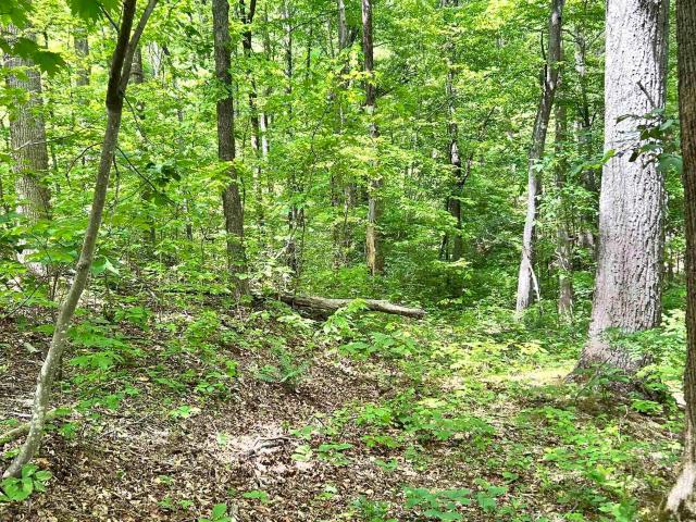 Land for sale in Landrum, South Carolina