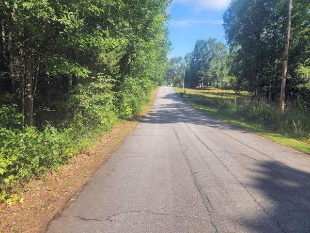 Land for sale in Gray Court, South Carolina