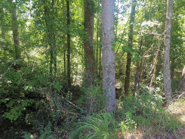 Land for sale in Enoree, South Carolina