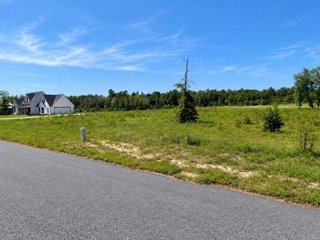 Land for sale in Swainsboro, Georgia