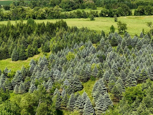 Land for sale in Walworth, Wisconsin