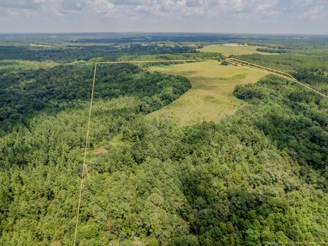 Land for sale in Geneva, Alabama