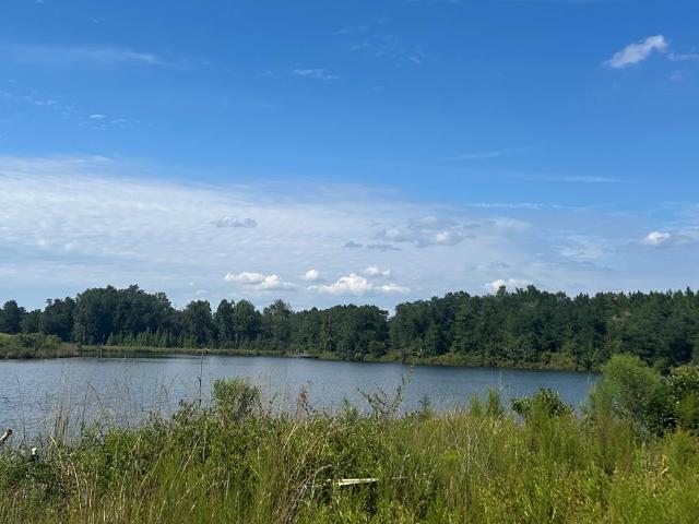 Land for sale in Fort Gaines, Georgia