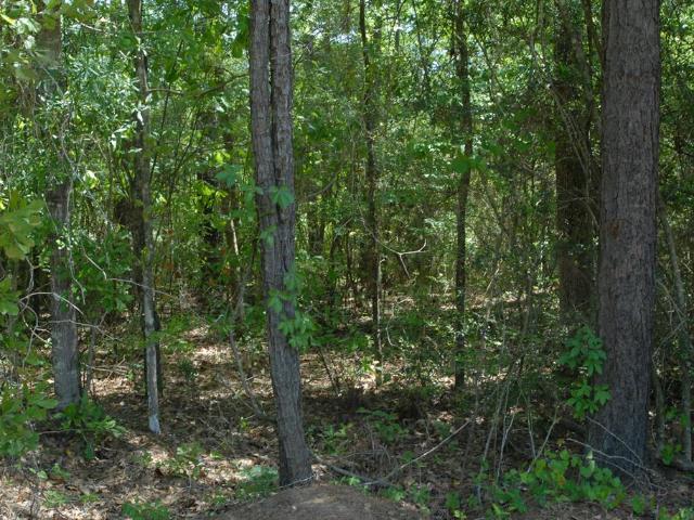 Land for sale in Dale, Alabama