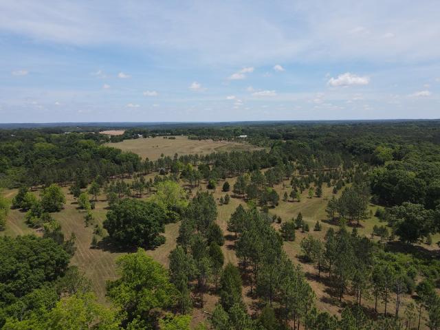 Land for sale in Elba, Alabama