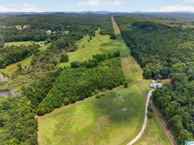 Land for sale in Jacksonville, Alabama
