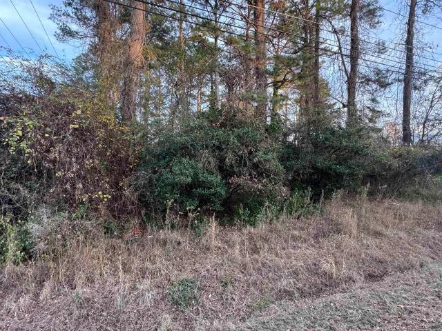 Land for sale in Rainbow City, Etowah County