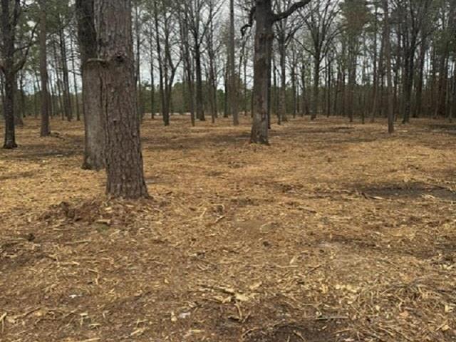 Land for sale in Ark