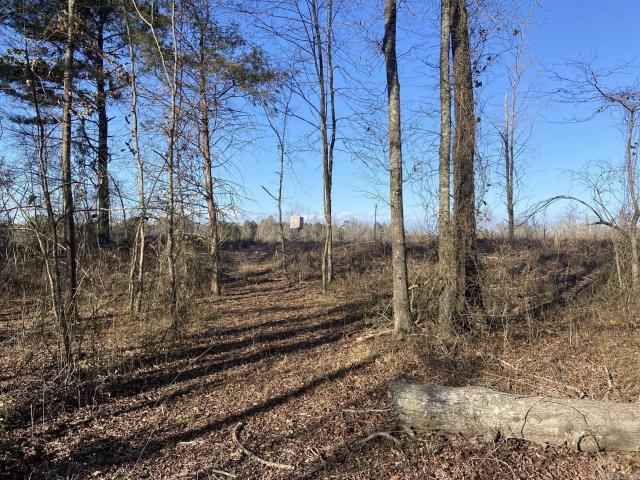Land for sale in Ark