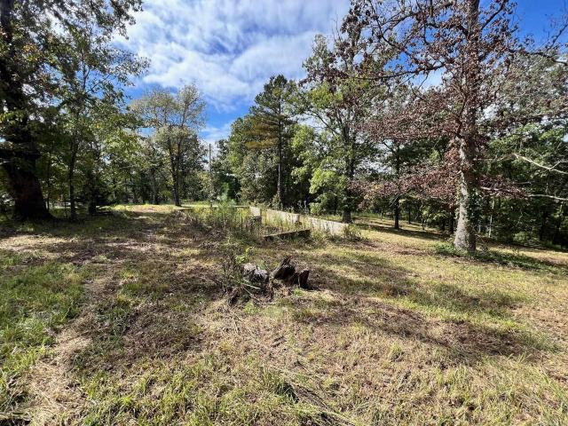 Land for sale in Mammoth Spring, Fulton County