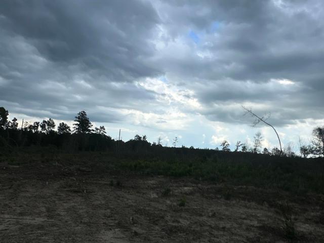 Land for sale in Stephens