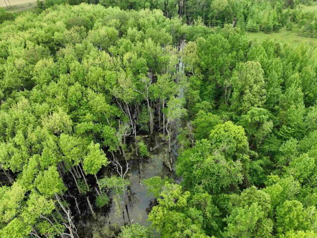 Land for sale in Ark