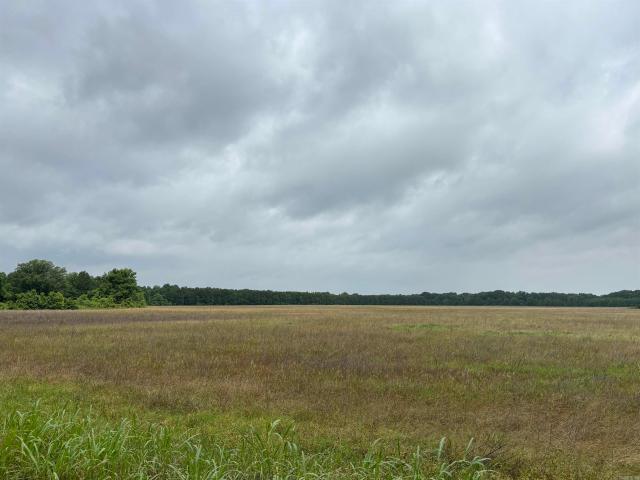 Land for sale in Star City