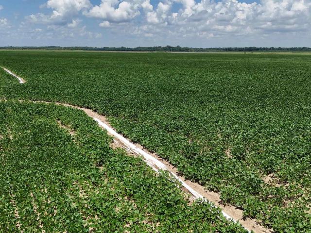 Land for sale in Ark
