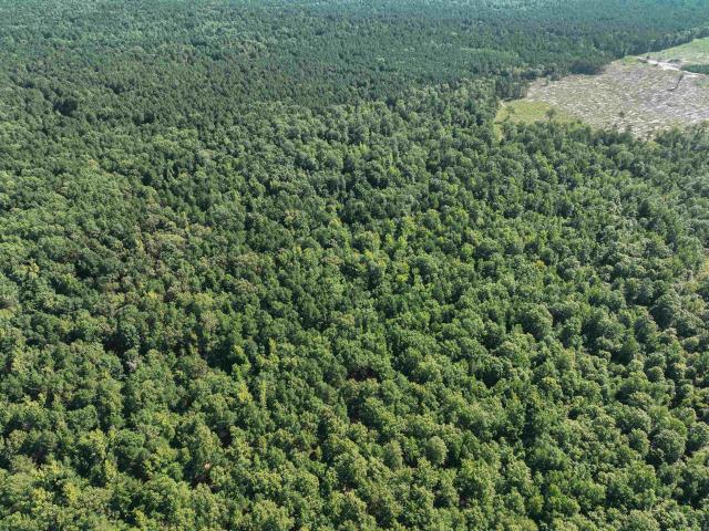 Land for sale in Ark