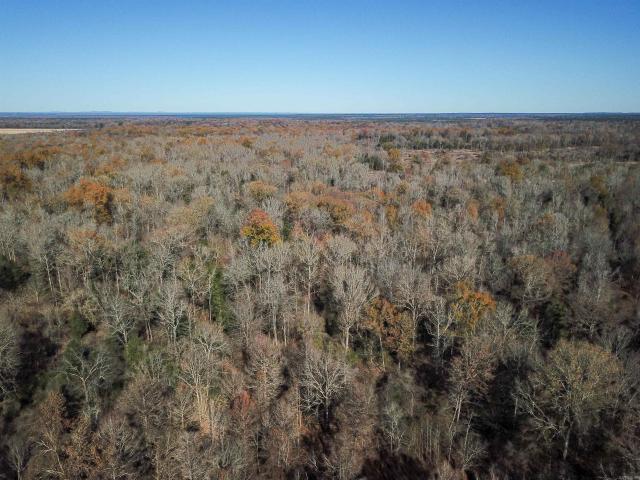 Land for sale in Ark