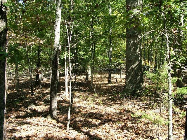 Land for sale in Ark