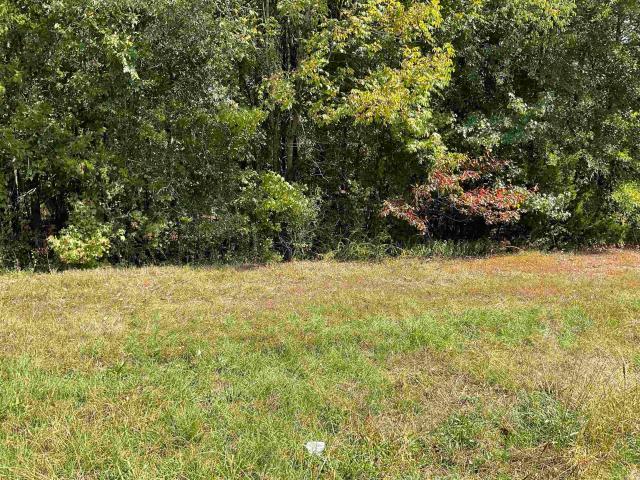 Land for sale in Ark