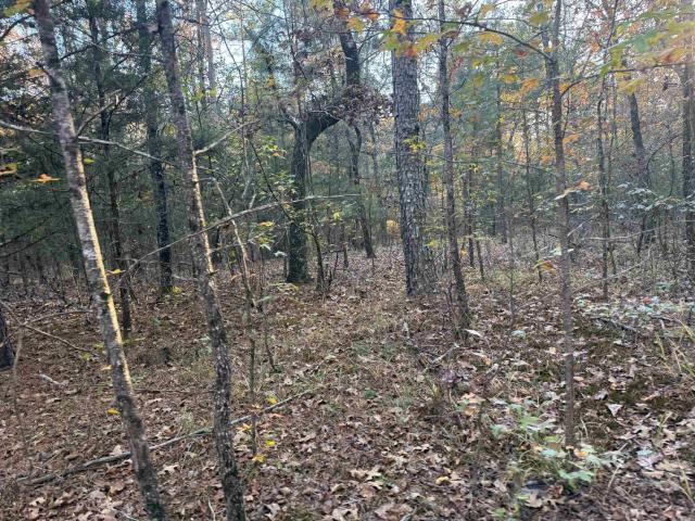Land for sale in Cove, Polk County