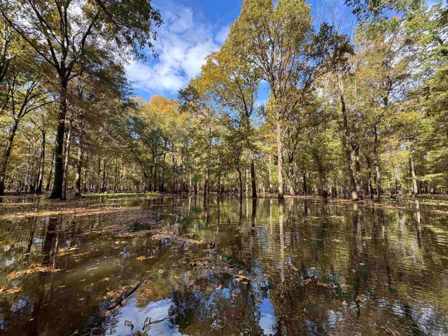 Land for sale in Ark