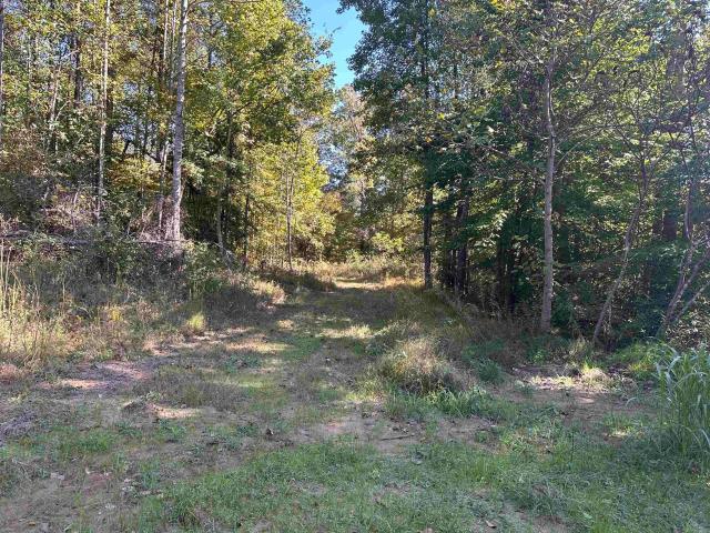 Land for sale in Ark