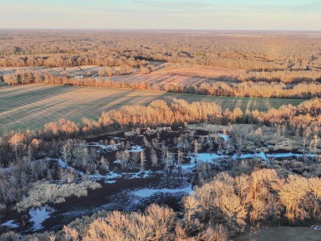 Land for sale in Ark