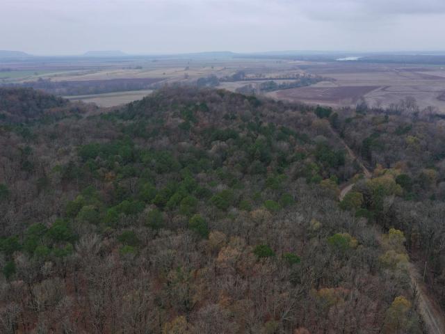 Land for sale in Ark