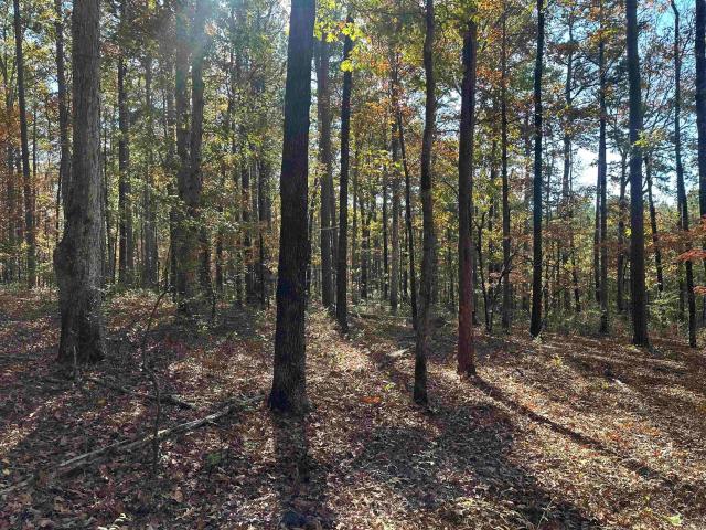 Land for sale in Ark