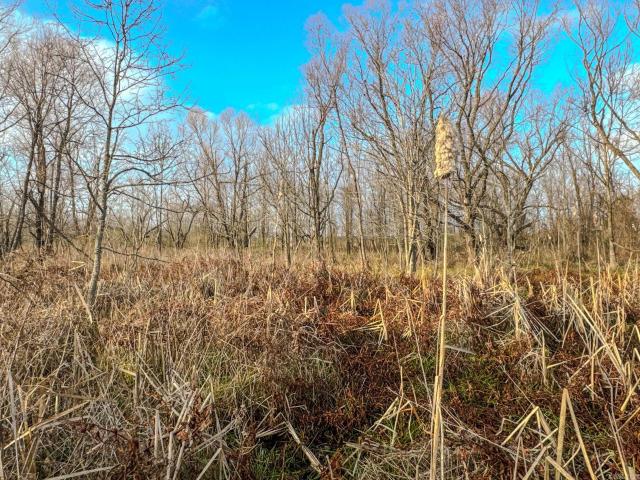 Land for sale in Ark