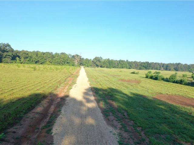 Land for sale in Roseland, Louisiana