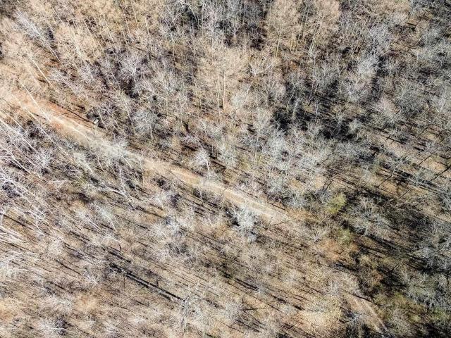 Land for sale in Ark