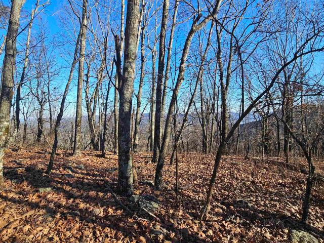 Land for sale in Ark