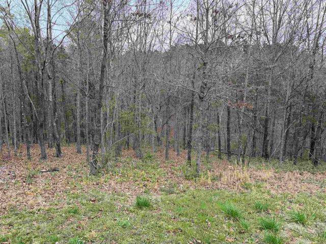 Land for sale in Ark