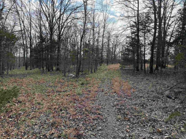 Land for sale in Ark
