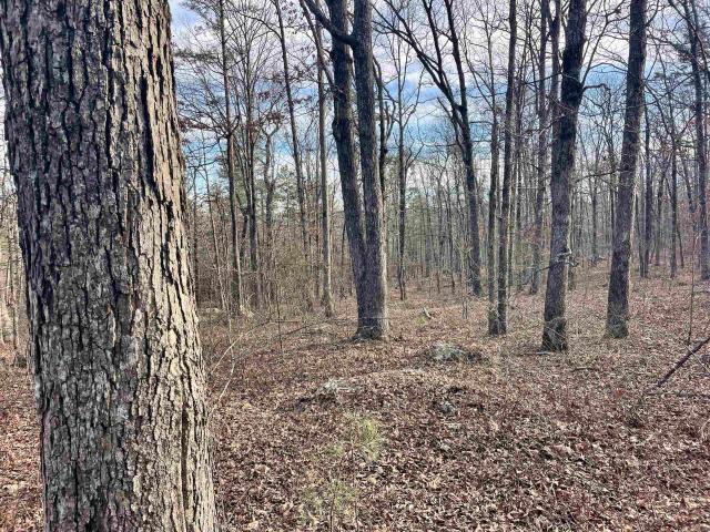 Land for sale in Ark