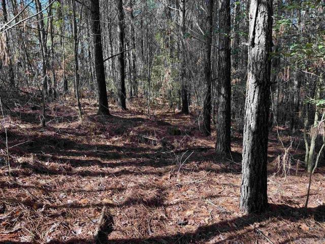 Land for sale in Ark