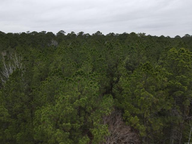 Land for sale in Ark