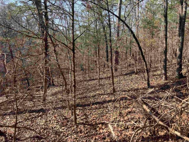Land for sale in Ark