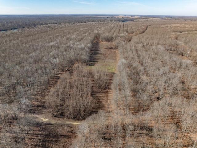 Land for sale in Ark