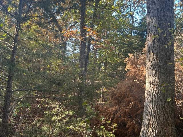 Land for sale in Ark