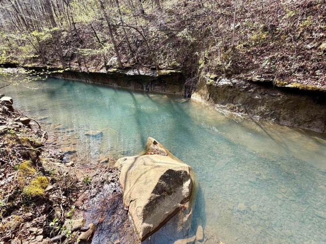 Land for sale in Clinton, Van Buren County