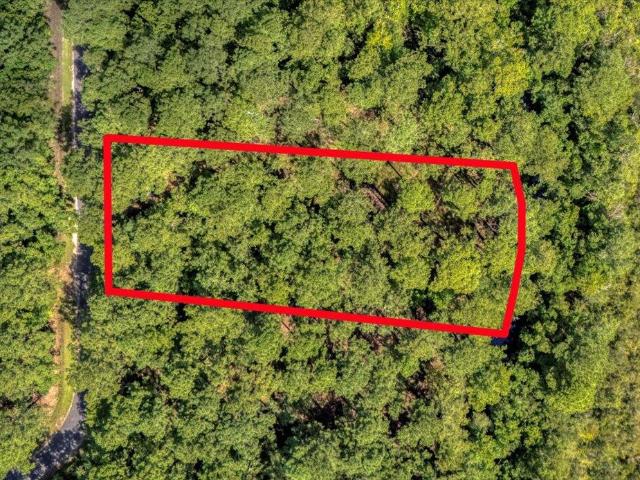 Land for sale in Walterboro, South Carolina