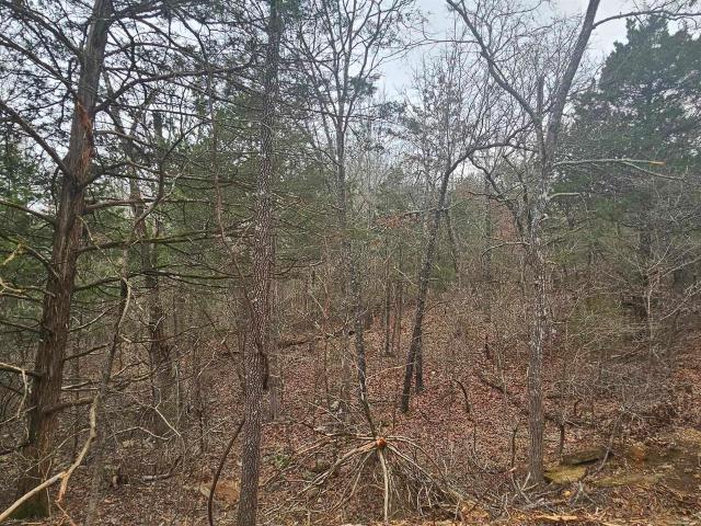 Land for sale in Henderson, Baxter County
