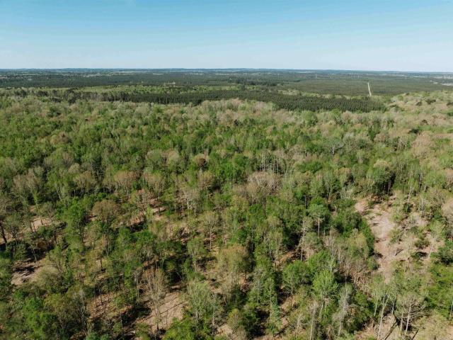 Land for sale in Fordyce, Dallas County
