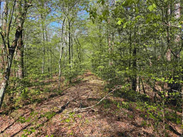 Land for sale in Ark