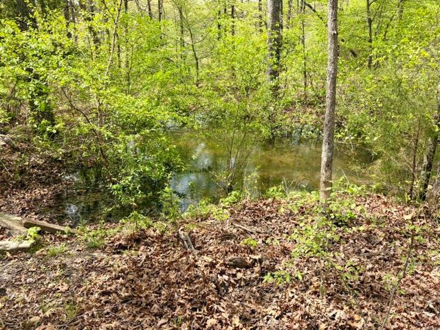 Land for sale in Ark