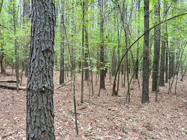 Land for sale in Ark