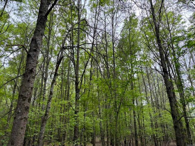 Land for sale in Ark