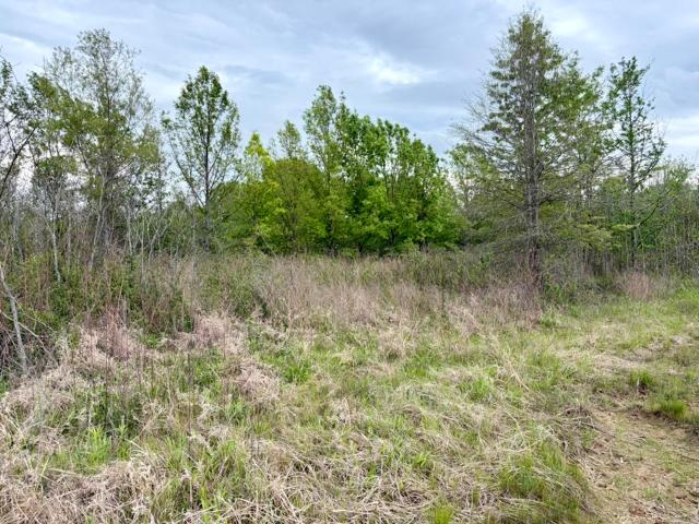 Land for sale in Ark